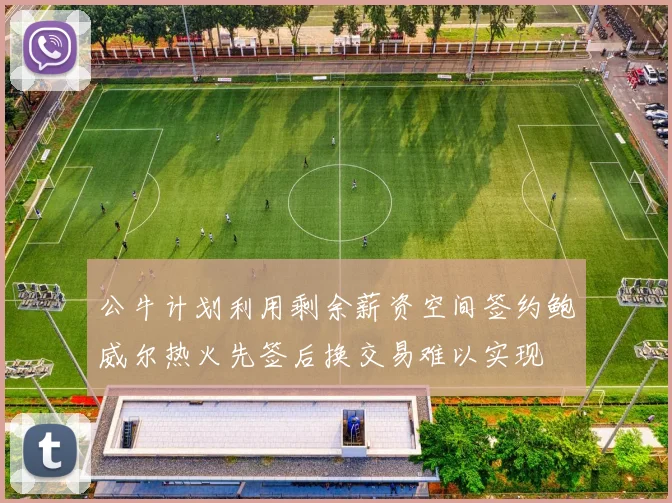 公牛计划利用剩余薪资空间签约鲍威尔热火先签后换交易难以实现